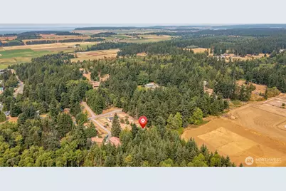 803 Hazzle Court, Coupeville, WA 98239 - Photo 39