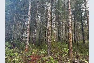 [Address not provided], Shelton, WA 98584 - Photo 1