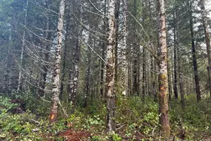 [Address not provided], Shelton, WA 98584 - Photo 1