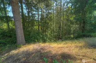 10932 Peony Pl NW, Silverdale, WA 98383 - Photo 37