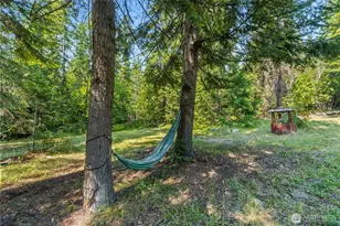 2423 Quinns Meadow Rd, Colville, WA 99114 - Photo 27