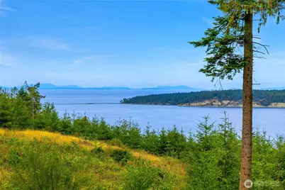 698 Streamside Drive, Sequim, WA 98382 - Photo 11