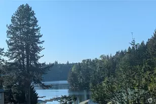 103 Lakeside Dr, Mossyrock, WA 98564 - Photo 17