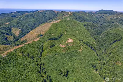 1 State Route 4, Chinook, WA 98614 - Photo 19