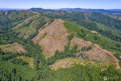 1 State Route 4, Chinook, WA 98614 - Photo 5