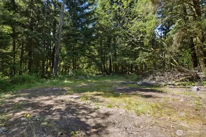 9905 Sandridge Road, Long Beach, WA 98631 - Photo 9