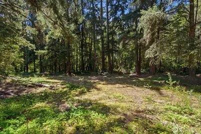 9905 Sandridge Road, Long Beach, WA 98631 - Photo 11