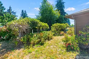 704 Weir St SE, Olympia, WA 98501 - Photo 23