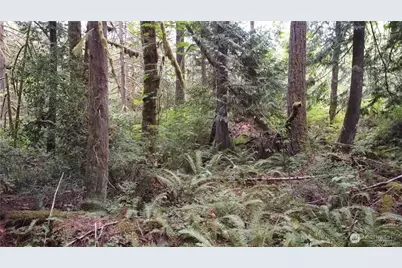 2616 Schirm Road NW, Olympia, WA 98502 - Photo 13