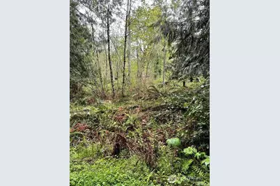 2616 Schirm Road NW, Olympia, WA 98502 - Photo 5