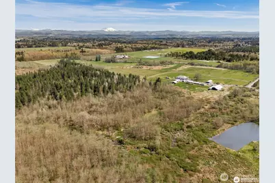222 Nicholson Road, Ethel, WA 98542 - Photo 3