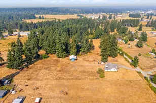 17441 110th Ave SE, Yelm, WA 98597 - Photo 37