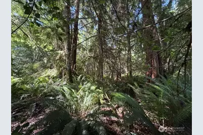 0 Weyers Lane SW, Port Orchard, WA 98366 - Photo 7