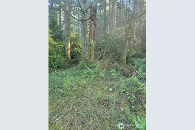 11920 Country Club Drive, Anderson Island, WA 98303 - Photo 1