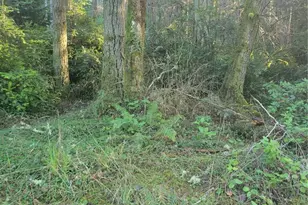 11920 Country Club Dr, Anderson Island, WA 98303 - Photo 1
