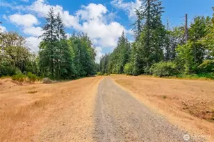 23704 SE 243rd Pl, Maple Valley, WA 98038 - Photo 29