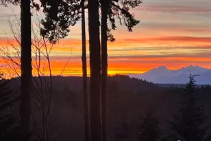 8696 NW Anderson Hill Rd, Silverdale, WA 98383 - Photo 39