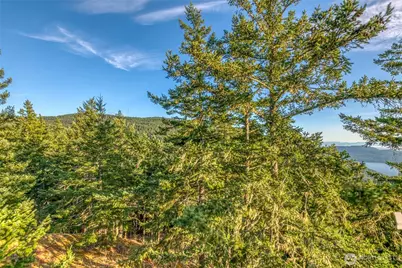 186 Aerie Road, Orcas Island, WA 98245 - Photo 15