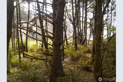 890 273rd Ln, Ocean Park, WA 98640 - Photo 9