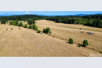 12306 Bald Hill Road SE, Yelm, WA 98597 - Photo 1