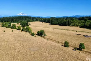 12306 Bald Hill Rd SE, Yelm, WA 98597 - Photo 1