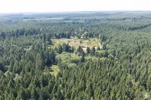 [Address not provided], Hoquiam, WA 98550 - Photo 1