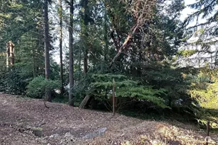 16310 Ashworth Ave N, Shoreline, WA 98133 - Photo 27