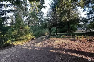 16310 Ashworth Ave N, Shoreline, WA 98133 - Photo 23