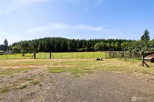 1041 W Beeville Loop Rd, Matlock, WA 98560 - Photo 15