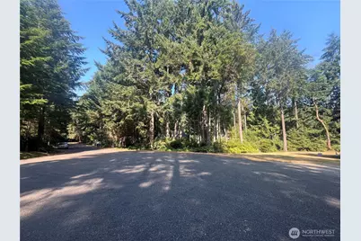 11124 Cole Place, Anderson Island, WA 98303 - Photo 17