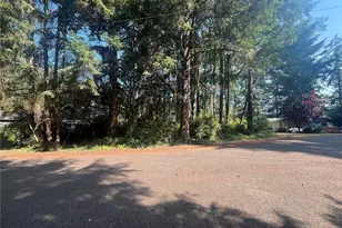 11124 Cole Pl, Anderson Island, WA 98303 - Photo 15