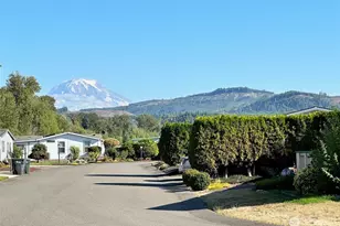 836 Harman Way S, Orting, WA 98360 - Photo 35
