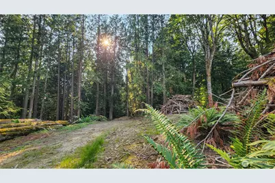18813 126th Street SE, Snohomish, WA 98290 - Photo 5