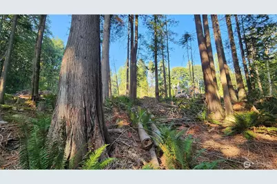 18813 126th Street SE, Snohomish, WA 98290 - Photo 15