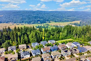 29016 NE 156th St, Duvall, WA 98019 - Photo 39