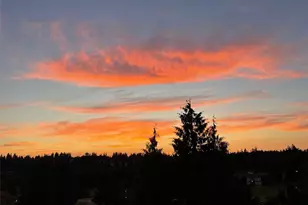 23007 Lakeview Dr, Mountlake Terrace, WA 98043 - Photo 3