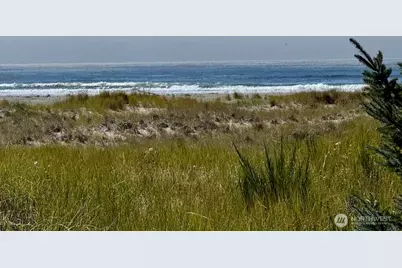 813 Salmonbery Beach, Grayland, WA 98547 - Photo 29