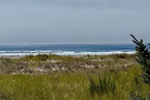813 Salmonbery Beach, Grayland, WA 98547 - Photo 29