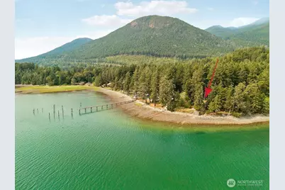 440 Bee Mill Road, Brinnon, WA 98320 - Photo 5