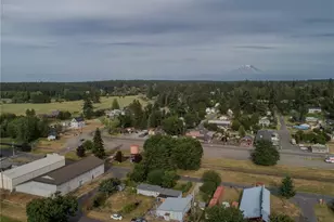 303 Peterson Street S, Roy, WA 98580 - Photo 11