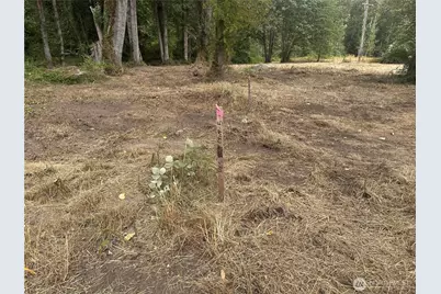 154 Xx SE Jones Road, Renton, WA 98058 - Photo 3