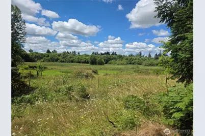 35508 16th Avenue Ct S, Roy, WA 98580 - Photo 17