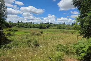 35508 16th Ave Ct S, Roy, WA 98580 - Photo 17