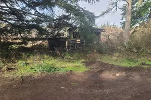 35508 16th Ave Ct S, Roy, WA 98580 - Photo 21