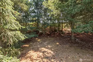 101 Snapdragon Ln, Sequim, WA 98382 - Photo 27