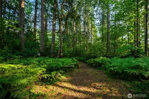 4914 Grand Fir Ln NW, Olympia, WA 98502 - Photo 31