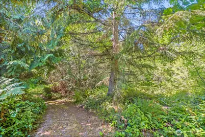 135 Saydee Lane, Port Angeles, WA 98362 - Photo 29