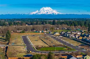 9855 Ferns Loop SE, Yelm, WA 98597 - Photo 27