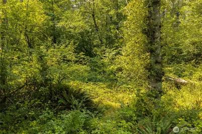 11817 288th Street E, Graham, WA 98338 - Photo 9