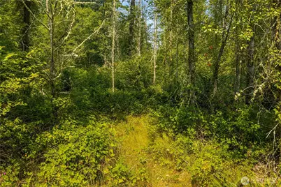 11817 288th Street E, Graham, WA 98338 - Photo 5